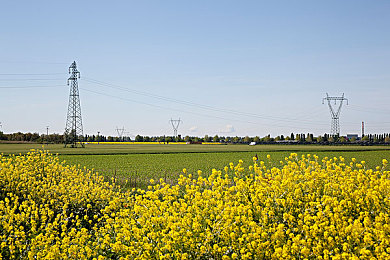大菠萝福建卫精,古村落冒险，文化游戏引关注-1