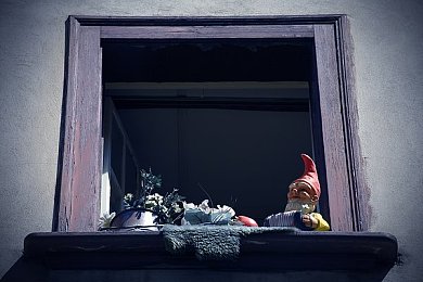 男女插网站,网络新宠：情感共鸣的绿色交流平台-1
