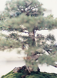 亚洲色图激情文学,数字时代新文学：视觉冲击下的激情探索-1