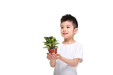 边打扑克边摸奶,新奇游戏走红：扑克奶爸互动乐翻天-1