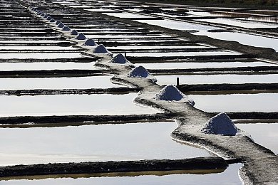 破解版软件黄色,网络净化行动：破解版软件黄毒不容忽视-1