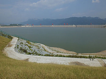挠乳尖,神秘岛屿探险，挠树尖挑战来袭-1