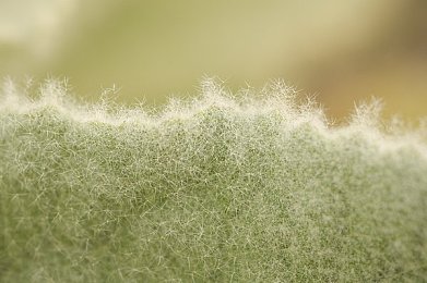 反恐精英狙击手,射击新境界：狙击手游戏燃起竞技热潮-3