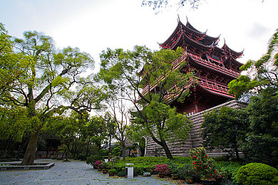 鲁鲁鲁色色色鲁色鲁色,社交新宠来袭，趣味互动成潮流-2