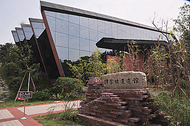 扒开尿口漏出奶头,狗狗意外露奶头，萌态引网友围观-1