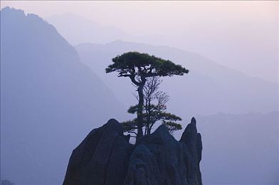 黄品汇色情免费 无码,游戏新宠：免费无码，视觉盛宴-2