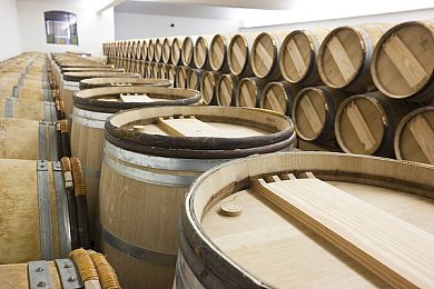 吃瓜爆料官网在线观看免费,游戏资讯盛宴，官网免费大放送-2