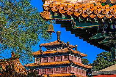 処女嫩白紧疼叫挣扎求饶动态图,美容惊魂：求饶图曝光，产品安全引关注-5