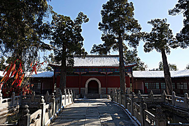 男生女生一起擦擦擦,男女携手，共创绿色家园-1