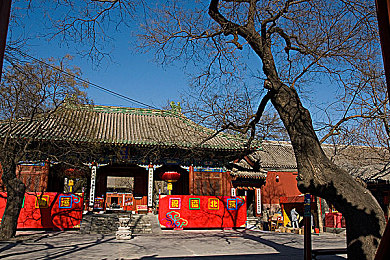 嗯…啊…出水奶,奶制品新宠：天然美味，出水即食-3
