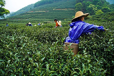 全国十大黄片软件,揭秘：十大违规软件上榜，网民需警惕！-2
