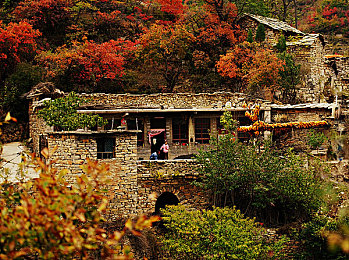 kaixinse,色彩搭配神器，轻松打造个性生活-3