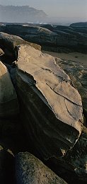 熟妇浓毛pssing撒尿pics,奇幻世界熟妇冒险，感官冲击新体验-3