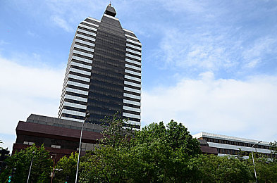 明星换脸一区二区赵丽颖,换脸风波：赵丽颖新技能引关注-1