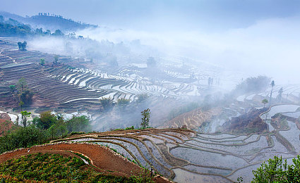 免费看的黄软件,揭秘免费黄软件：便利背后风险多-2