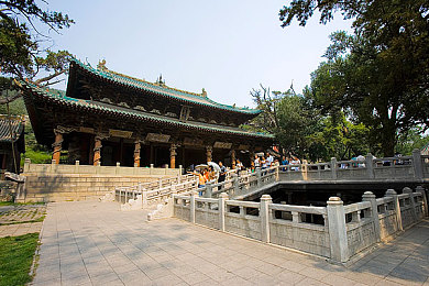 无翼乌邪恶,神秘乌鸦世界，冒险者征途-3