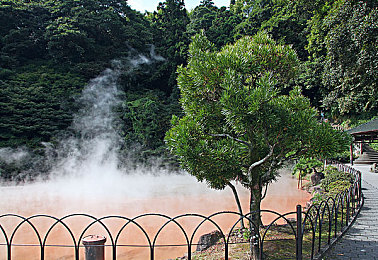 免费黄台,免费资源宝库，一键获取！-3