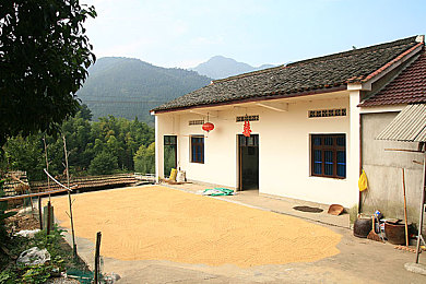 打扑克视频又叫又痛软件大全免费下载,趣味扑克游戏走红，免费下载体验刺激对战-3