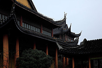 黄色软件推荐!,手机生活新体验，盘点热门视频软件-3