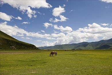 100款流氓软件APP免费下载,揭秘：免费下载流氓软件，手机安全如何自保？-2