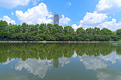 能看黄的软件,揭秘：神秘游戏画面精美玩法独特，快来体验！-5