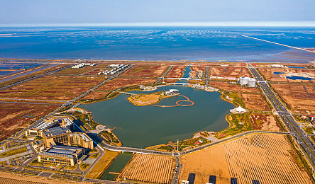 一区欧美,欧美国际市场，中国企业如何乘风破浪？-1
