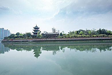人与禽性7777777,人禽奥秘：揭秘生理心理行为惊人相似-4