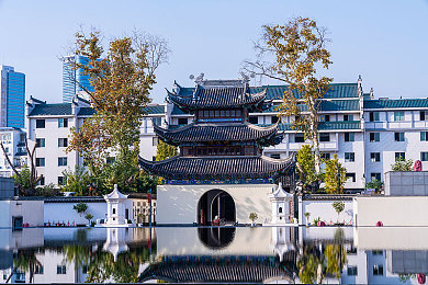 一个人在线观看www软件,独家揭秘：这款软件让你观影无忧-1