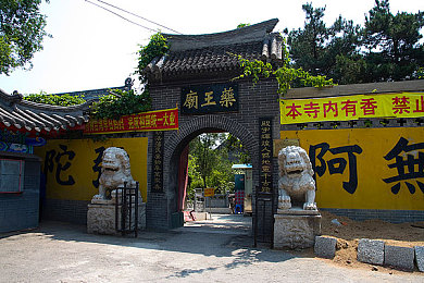 在哪里可以下载黄色软件,揭秘：如何安全下载软件，远离不良内容？-5