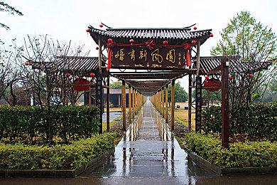 塔格奥的化身,千年之谜揭晓，神秘塔格奥化身现世-2