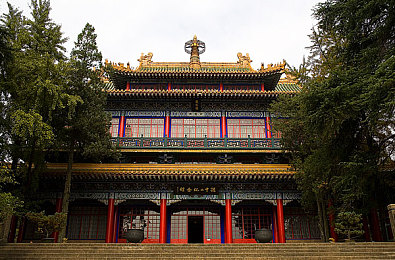 唐三插曲千仞雪不亦说乎MBA,奇幻旅程中的MBA启示：人生挑战与梦想-2