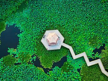 杨敏思1-5正版成绩,明星学霸杨敏思，成绩亮眼引关注-5
