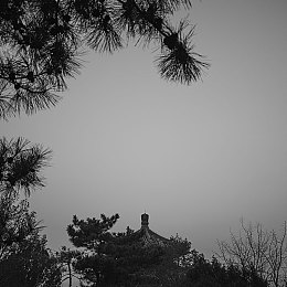 美女把衣服脱光软件,揭秘“脱衣秀”软件，隐私安全引关注-3