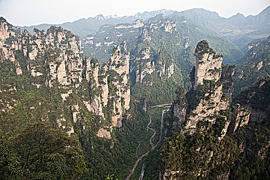 黑人大吊30cm,黑人大哥健身奇迹，身材惊人引关注-2