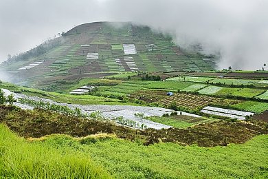 中国十大禁用黄软件,网络净化行动：揭秘十大禁用“黄软件”-3