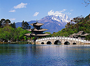 黄色1区,城市核心区升级，生活更美好-3