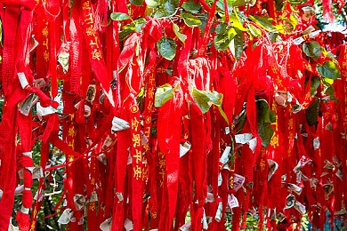 一插一进动态,科技融合创新，游戏新宠横空出世-3