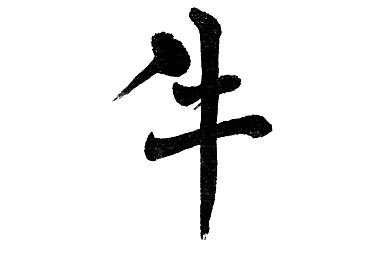 lls888.app.ios,应用新潮流，娱乐社交购物一网打尽-3