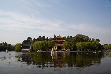 大菠萝导航福利,导航福利来袭，大菠萝送大礼-5