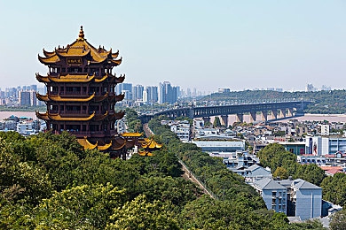 黄色软件0ppO,“揭秘网络隐患，共筑清朗空间”-5
