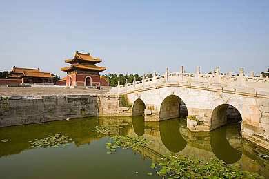 神马午夜网,夜猫子乐园：神马午夜网引领夜间娱乐新潮流-3