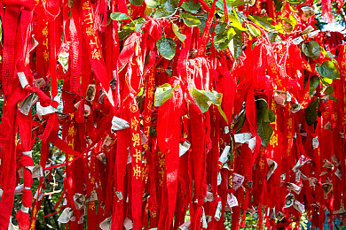 欧美三卡,科技新宠，欧美三卡护航网络安全！-2