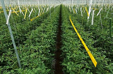 男女打扑克免费视频软件,扑克游戏新体验，免费视频社交乐-5