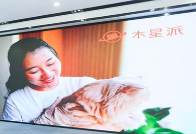 连宠物服务也能达五星级？杭州这里好多个有趣的项目正在找主人