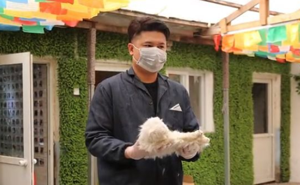 宠物殡葬行业发展现状和发展趋势如何？有哪些政策需要遵守？
