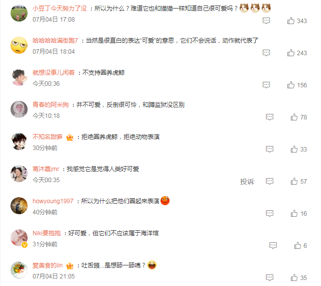虎鲸竟然会伸舌头？公众呼吁关注海洋哺乳动物保护！