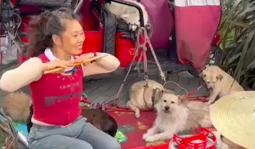 阿姨每天路边敲架子鼓不为赚钱，而是呼吁大家关心流浪狗
