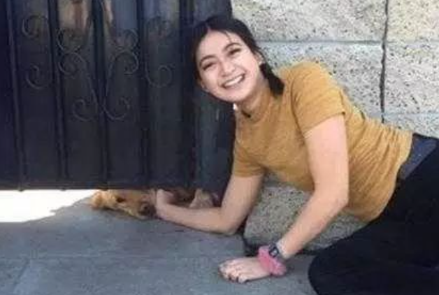 黄金猎犬每天塞门缝等“女朋友”放学
