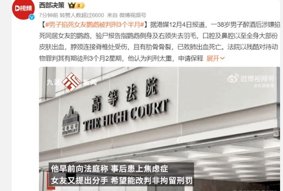 男子掐死女友鹦鹉被判刑3个半月 残酷对待动物罪
