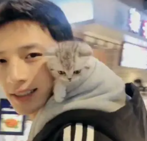 偶遇一位小哥哥遛猫，双方颜值都养眼，网友：有人组团偷猫吗？